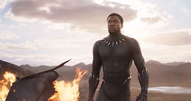 映画(詳しくは洋画・海外映画・アメリカ映画)『ブラックパンサー』とは?あらすじ・見どころ