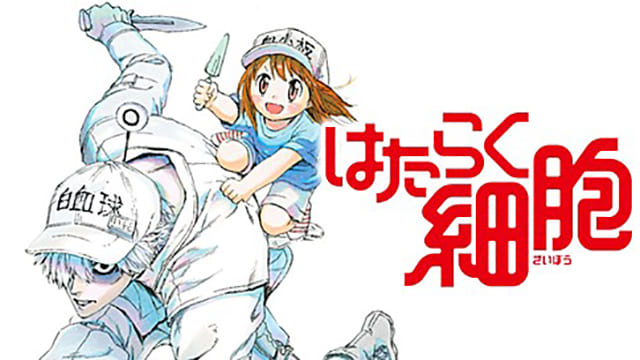 TV(テレビ)アニメ『はたらく細胞』の特別動画(特典映像)